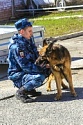 День открытых дверей в ОМВД-12.jpg